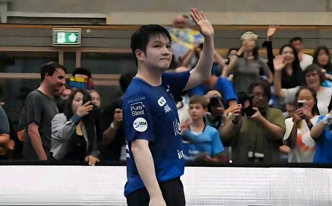 德媒：樊振东一人让德甲成为国际赛事